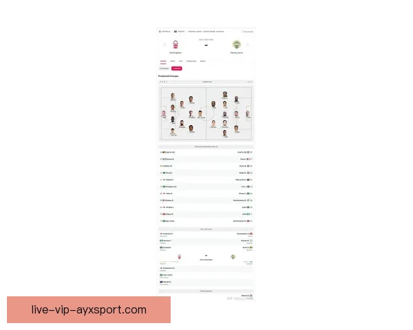聚焦荷兰国家足球队最新名单解析与阵容前景展望全面深度观察阵容